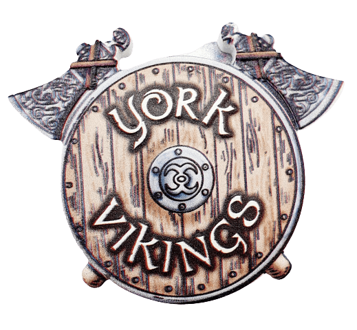 Resin magnet Viking Shield