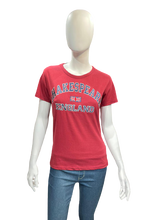 Load image into Gallery viewer, Shakespeare T Shirts Maroon