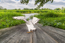 Load image into Gallery viewer, Official Metal Snowy Owl- Wings Outstretched at the best quality and price at House Of Spells- Fandom Collectable Shop. Get Your Metal Snowy Owl- Wings Outstretched now with 15% discount using code FANDOM at Checkout. www.houseofspells.co.uk.