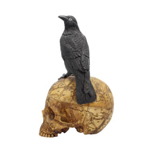 Load image into Gallery viewer, Salems Familiar 27cm - britishsouvenir