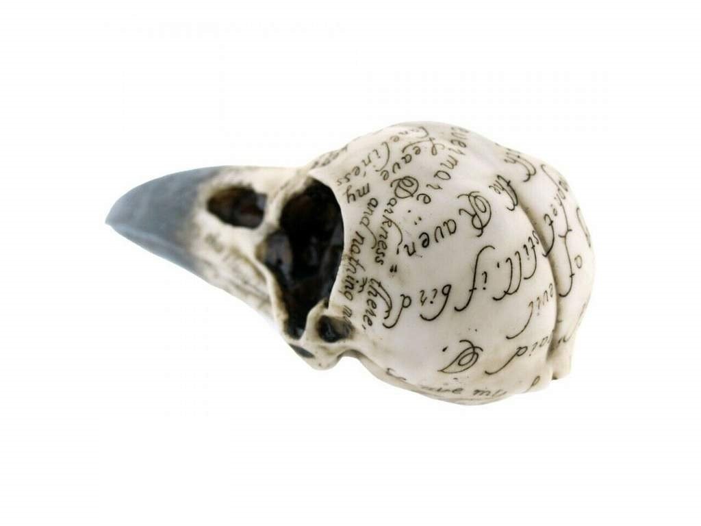 Edgar Raven Skull - britishsouvenir