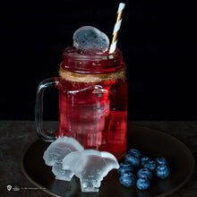 Load image into Gallery viewer, Harry Potter Characters Chocolate/Ice Cube Mould