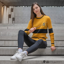 Load image into Gallery viewer, Hufflepuff Quidditch Sweater