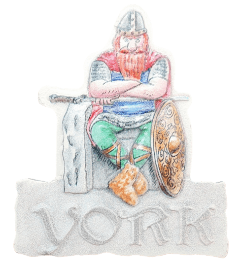 Resin magnet York Viking