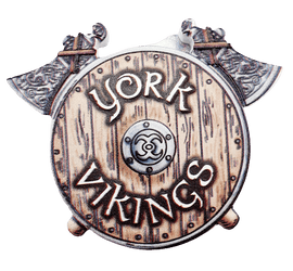 Resin magnet Viking Shield