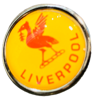 Yellow Liverpool Liver Bird Pin Badge