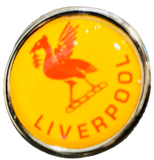 Yellow Liverpool Liver Bird Pin Badge