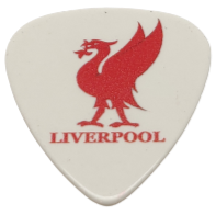 Liver Bird Guitar Plectrum