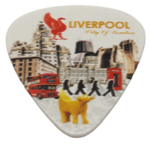 Load image into Gallery viewer, Liverpool Collage Plectrum
