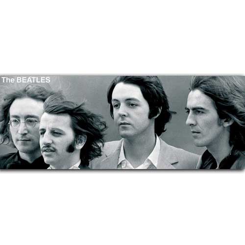 The Beatles Boxed Standard Mug: Windswept