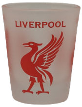 Load image into Gallery viewer, Liverpool Liverbird Frozen Shot Glass
