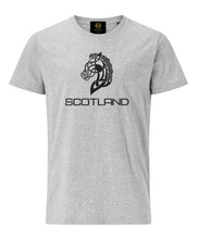 Load image into Gallery viewer, Celtic Horse T-Shirt Grey