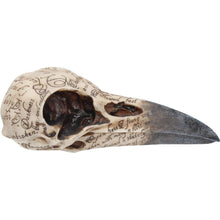 Load image into Gallery viewer, Edgar Raven Skull - British Souvenirs