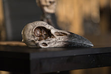 Load image into Gallery viewer, Edgar Raven Skull - britishsouvenir