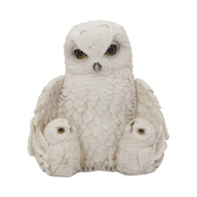 Load image into Gallery viewer, FEATHERED FAMILY (OWL) 21.5CM - britishsouvenir